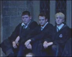 Comment s'appellent les deux bouffons de 'Malefoy'