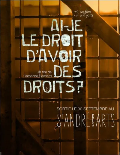 1991 - Qui chante "Qui a le droit" ?