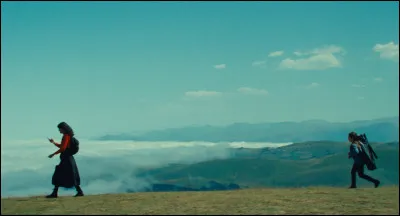 1996 - Qui chante "Je vous aime adieu" ?