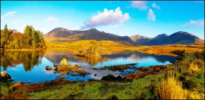 1981 - Qui chante "Les Lacs du Connemara" ?