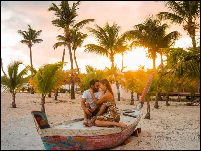 1986 - Qui chante "L'Amour à la plage" ?