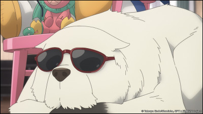 Quel pouvoir magique possède-t-il ?