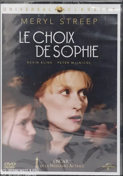 Quel écrivain a écrit "Le choix de Sophie" ?