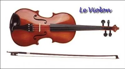 Quelles ouvertures ont en commun les poissons et les violons ?