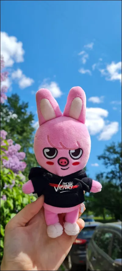 À qui appartient ce Skzoo ?