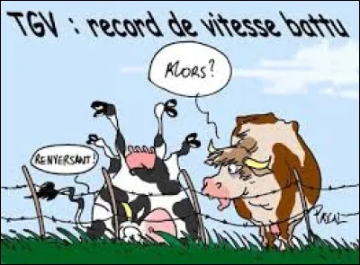 Comment appelle-t-on un collectionneur de trains miniatures ou de tailles r&eacute;elles ?