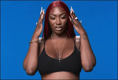 Qui est cette chanteuse franco-malienne dont l'un des titres s'intitule ''La Machine'' ?