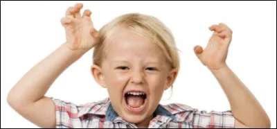 Quel est ton tempérament ?