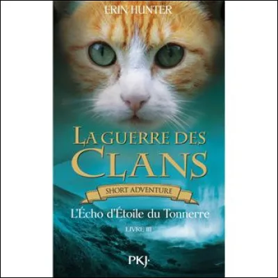 Quelle est la règle numéro 5 ?