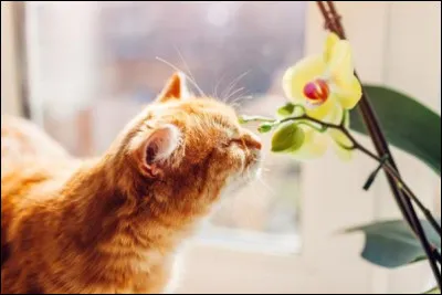 Quelle est la règle numéro 2 ?