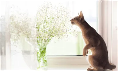 Quelle est la règle numéro 6 ?