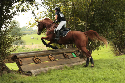Qui a gagné une médaille dargent à lépreuve du cross du concours complet par équipe aux JO 2024 ?