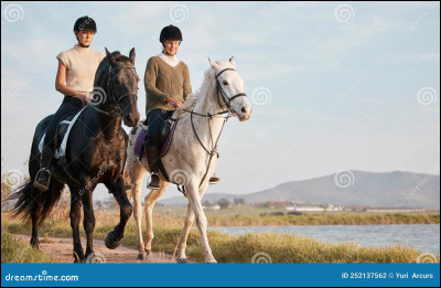 Qui a gagné une médaille dor aux concours complet au JO 2024 ?
