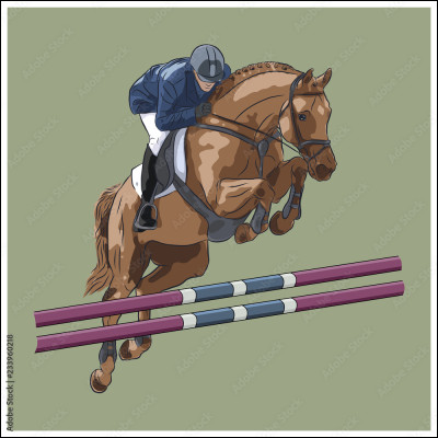 Quel pictogramme représente lobstacle aux JO ?