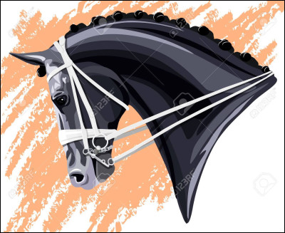 Quel pictogramme représente le dressage aux JO ?