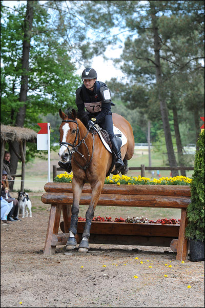 Quel pictogramme représente le concours complet aux JO ?