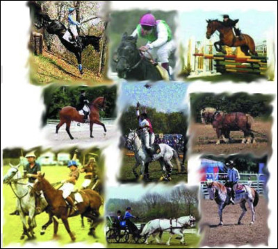 Quelles sont-elles ?