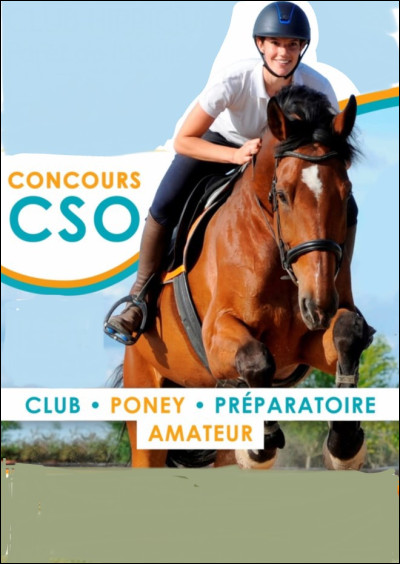 Que veut dire "CSO" ?