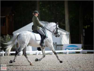 Qui est la plus jeune personne ayant participé aux JO équestres ?