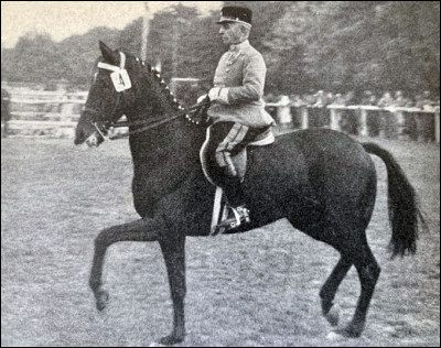 Qui est la personne la plus âgée ayant participé aux JO équestres ?