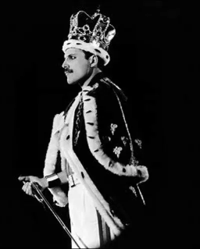Freddie Mercury appartient à un groupe célèbre, lequel ?