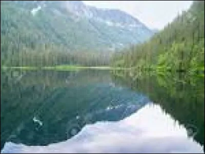 Quel est ton élément favori ?