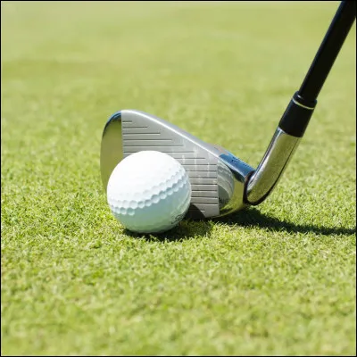 Toujours aux Jeux de Paris 1900, Margaret Abott, m&eacute;daill&eacute;e d'or en golf...