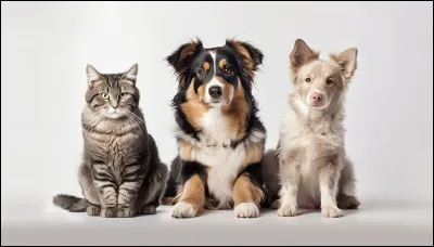 Quel animal est Nick ?