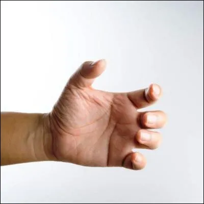 Quel doigt du corps humain poss&egrave;de un nombre de phalanges diff&eacute;rent des autres doigts ?