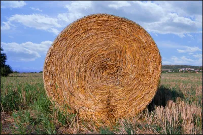 Quel intrus en L n'est pas une commune fran&ccedil;aise en L ?