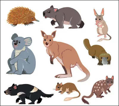 Quel intrus en M n'est pas une commune fran&ccedil;aise en M ?