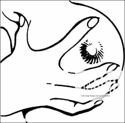 Quel intrus en S n'est pas une commune fran&ccedil;aise en S ?