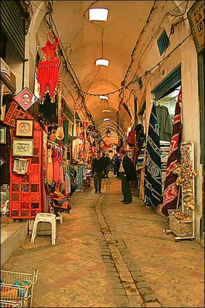"On peut se promener à travers ma Médina. Je suis voisine de Carthage. J'ai un musée d'histoire qui s'appelle 'The National Bardo Museum'." Que suis-je ?