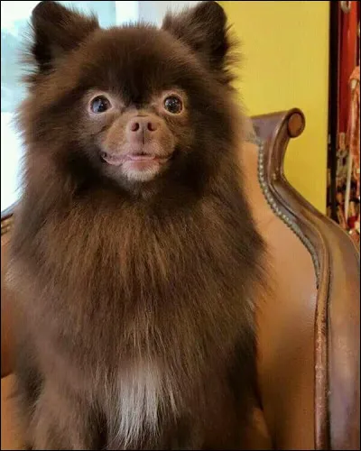 Et comment sappelle-t-il ?