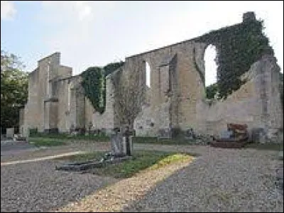 Je vous emmène maintenant en Lorraine découvrir les ruines du village détruit de Flirey. Reconstruit un peu plus loin, ce village de l'aire d'attraction Mussipontaine, où est né le chien Rintintin, se situe dans le département ...