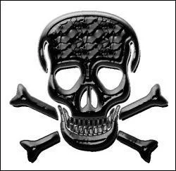 Un ver informatique est un type de virus qui se propage via les rseaux