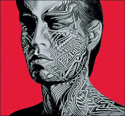 Qui a chanté Time Is on My Side ?