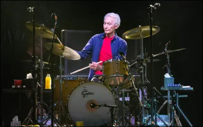 Qui a chanté Going to a Gogo ?