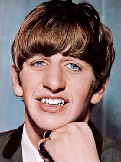 Qui a chanté Let It Be ?