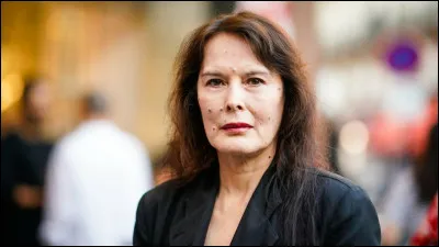 Le film de Samuel Fuller sorti en 1955, c'est...