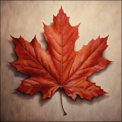 Qui chante "Je ne vous oublie pas" en 2005 ?