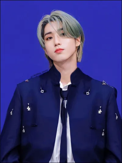 Quel est ce membre ?