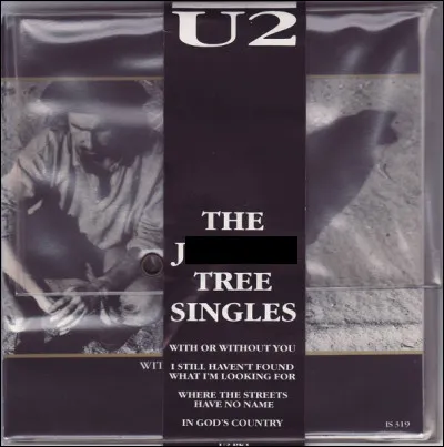 Quel est cet album du groupe de rock irlandais U2 sorti en 1987 ?