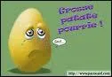 Va donc eh patate ! se dit  une personne :