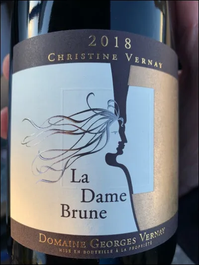 Qui chantait "La Dame brune" ?