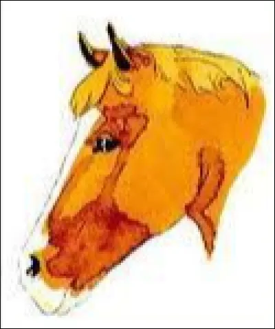 Quel est le nom de cette marque blanche sur la tête ?