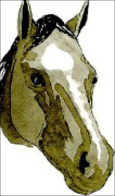 Quel est le nom de cette marque blanche sur la tête ?