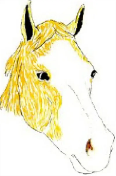 Quel est le nom de cette marque blanche sur la tête ?