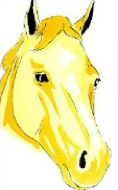 Quel est le nom de cette marque blanche sur la tête ?