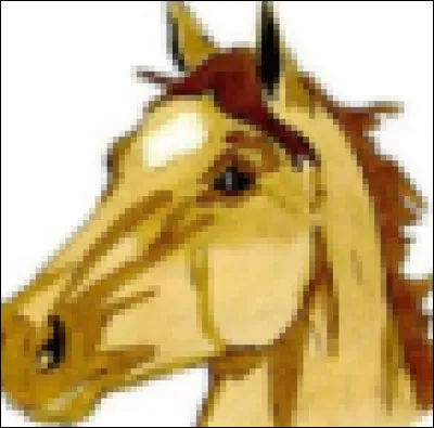 Quel est le nom de cette marque blanche sur la tête ?